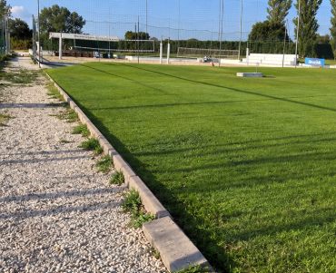 Il campo in erba immerso nel verde